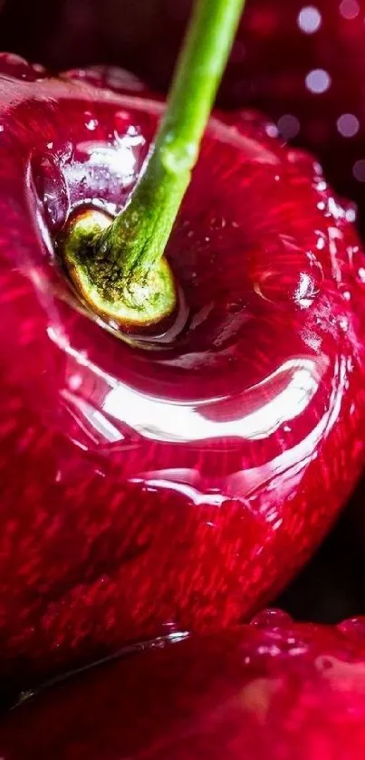 Close-up of juicy, vibrant red cherries with water droplets.