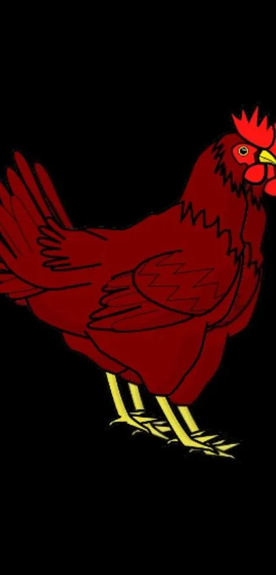 Vibrant red chicken on a black background wallpaper.