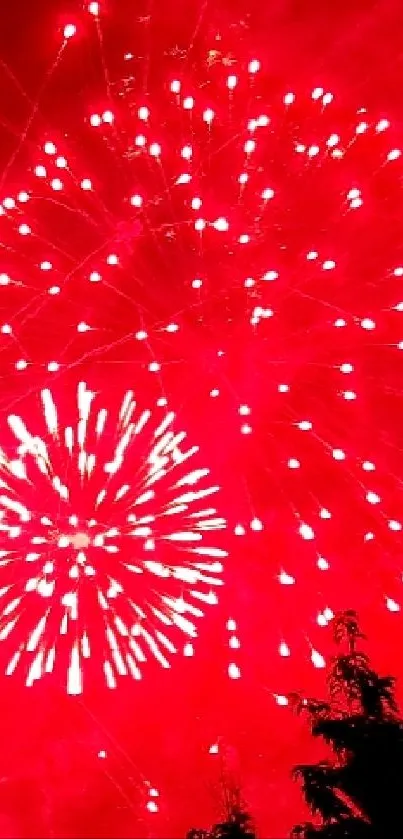 Vibrant red fireworks exploding in the night sky with dark background silhouette.