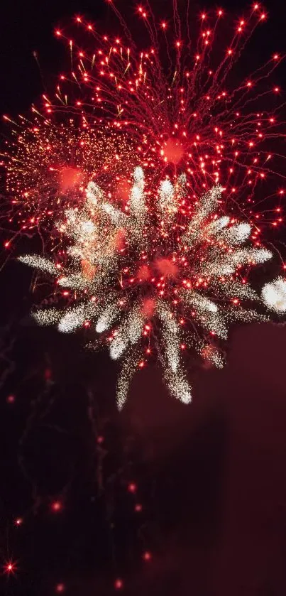 Vibrant red fireworks display illuminating the night sky.