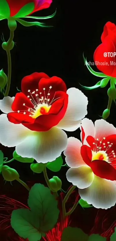 Vibrant red and white flowers on a black background wallpaper.