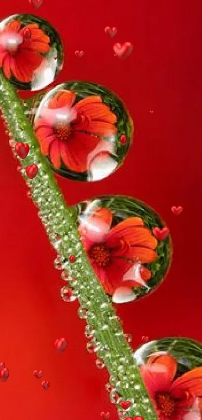 Close-up of vibrant red floral droplets on a green leaf.