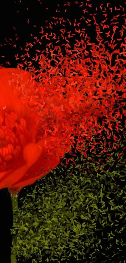 Artistic red poppy flower with vibrant dispersion effect.