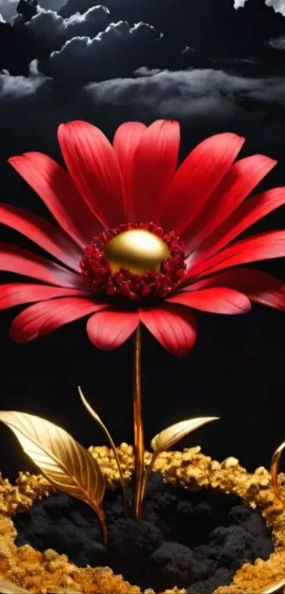 Vibrant red flower with golden accents against a dark background.