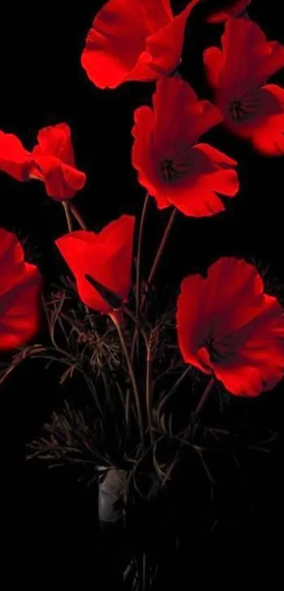 Vibrant red flowers against a dark background