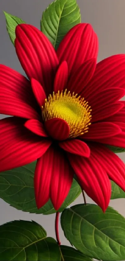 Vibrant red flower with lush green leaves on a phone wallpaper.