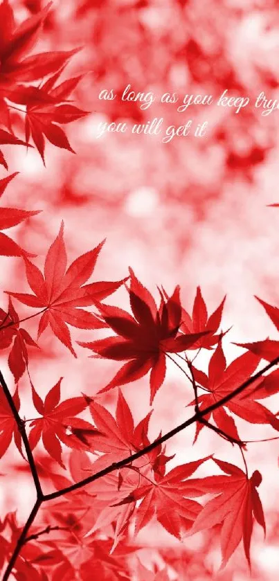 Red leaves with inspirational quote wallpaper.