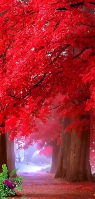 Vibrant red leaves canopy over forest path.