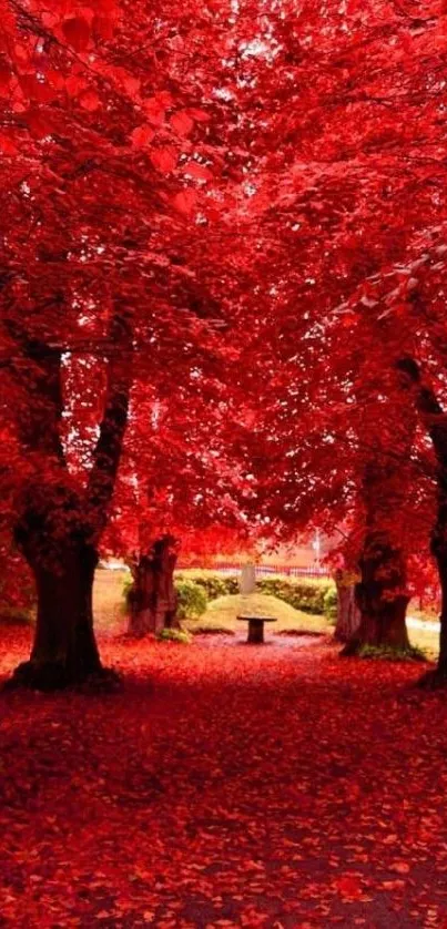 Vibrant red forest pathway with lush leaves.