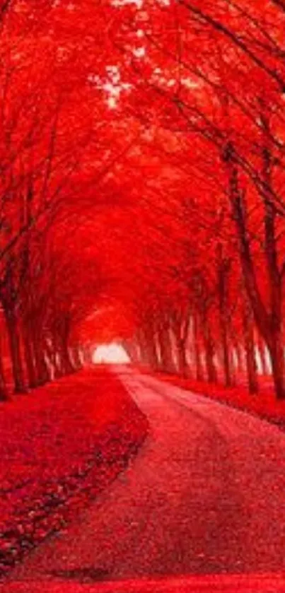 Mobile wallpaper of a vibrant red forest pathway.