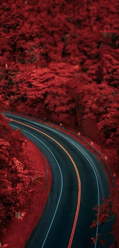 Winding road in a vibrant red forest background.