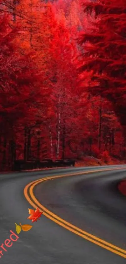 Winding road through vibrant red autumn forest scenery.