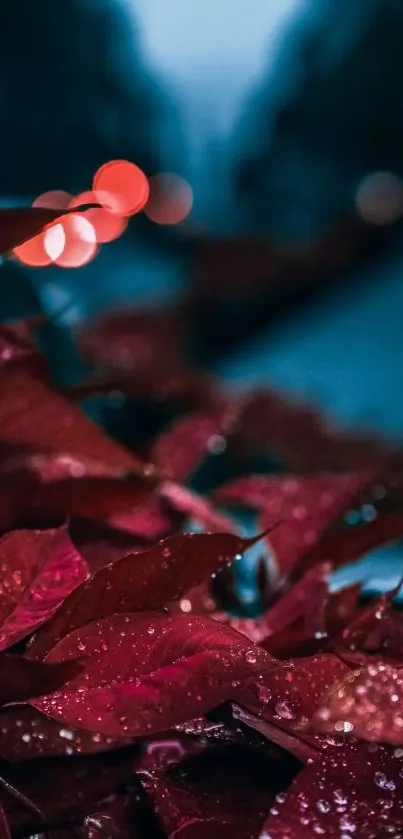 Vibrant red leaves with water droplets in a blurred background.