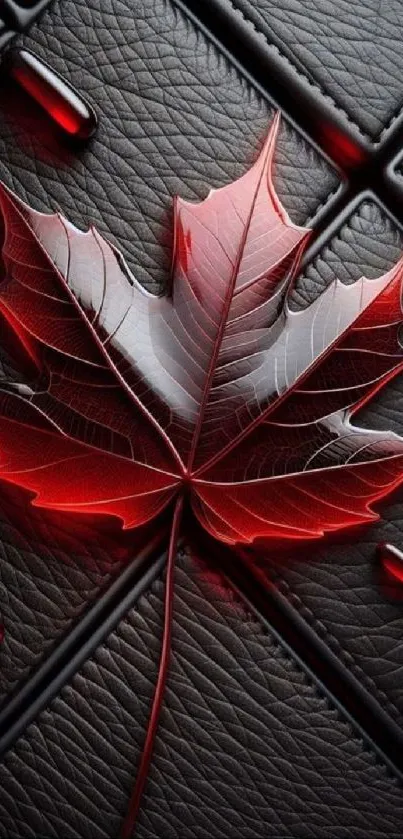 Vibrant red leaf on black leather texture background.