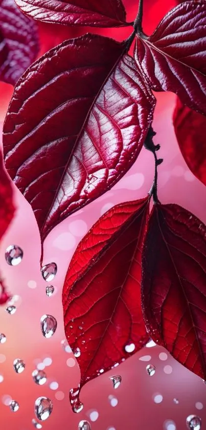 Red leaves with water droplets on a vibrant background.