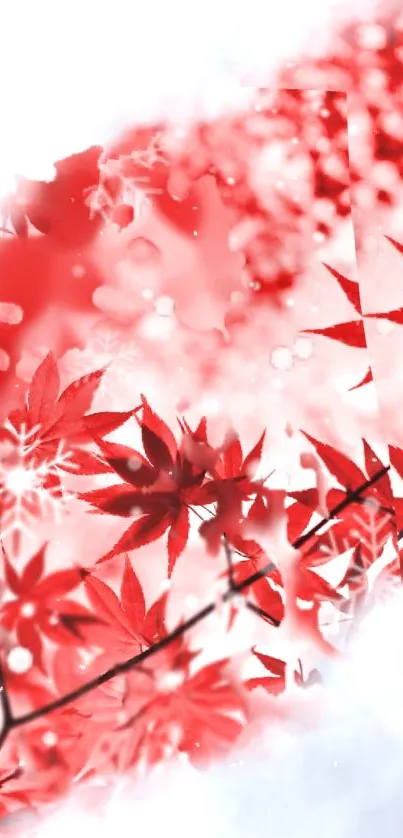 Red leaves mobile wallpaper with soft background.