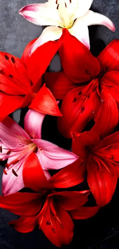 Vibrant red and white lilies on a dark background.