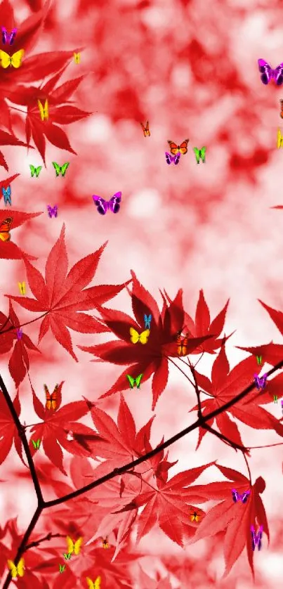 Vibrant red maple leaves on a mobile wallpaper.