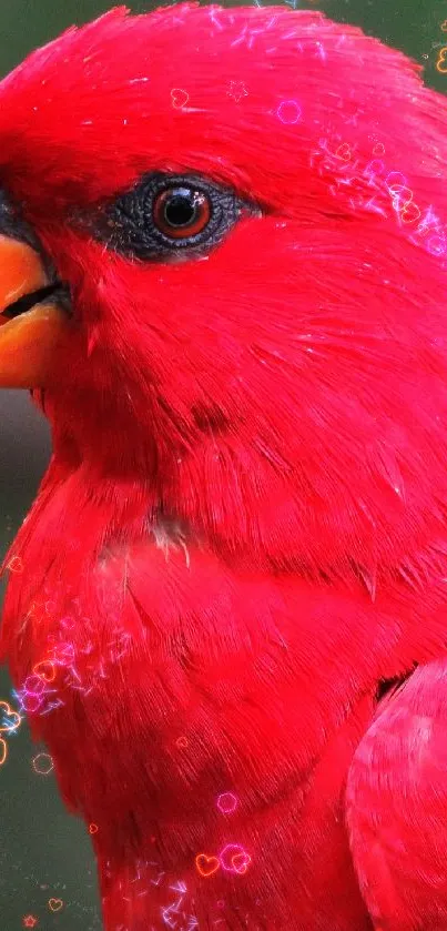 Vibrant red parrot with orange beak and green background.