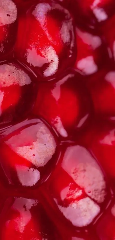 Close-up of vibrant red pomegranate seeds.