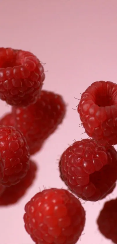 Vibrant red raspberries against a soft pink background.