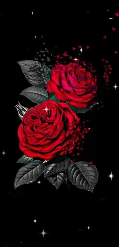 Red roses on dark background with elegant details.