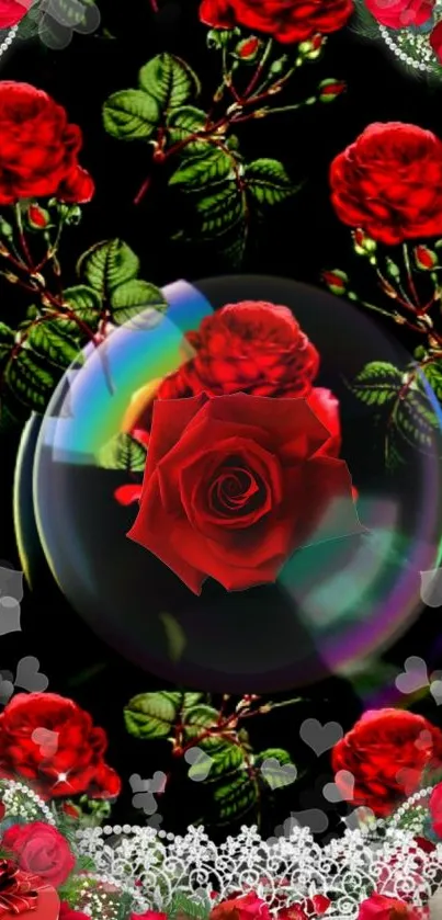 Vibrant red roses on a black background with colorful accents.