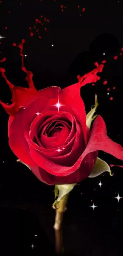 Vibrant red rose with artistic splash effect on black background.