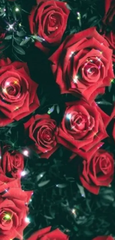 Vibrant red roses with sparkling highlights on mobile wallpaper.