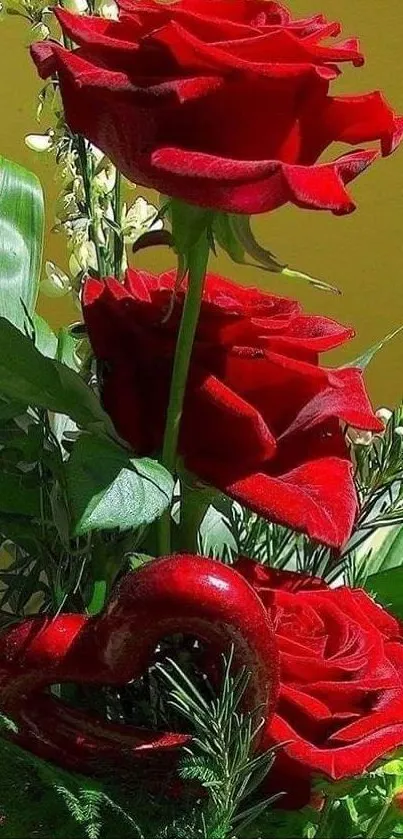 Vibrant red roses with green leaves against a yellow background.