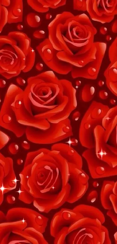 Vibrant red roses wallpaper with water droplets.