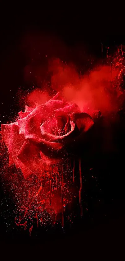 Mobile wallpaper featuring a vibrant red rose with a dark background.