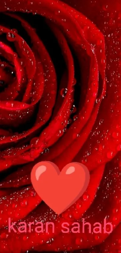 Beautiful red rose with dew droplets, perfect for wallpaper.