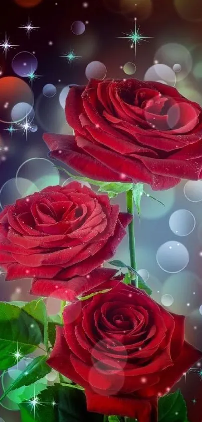 Beautiful red roses with a bokeh background.