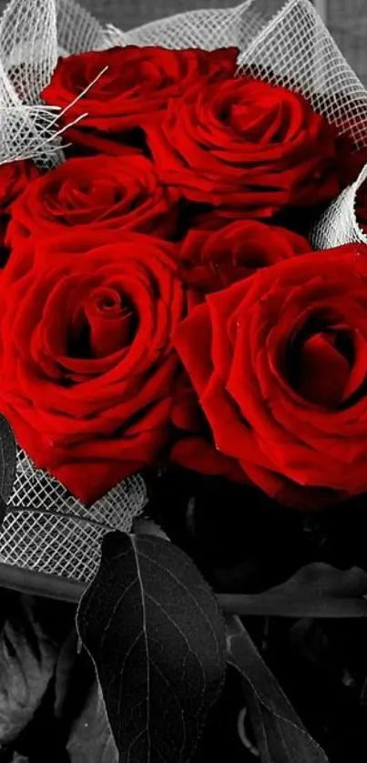 Red rose bouquet wallpaper, elegant and vibrant floral design for mobile.