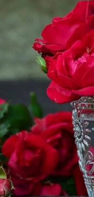 Vibrant red roses in a crystal vase wallpaper.