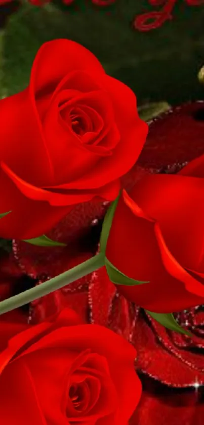 Mobile wallpaper of vibrant red roses with lush green leaves.