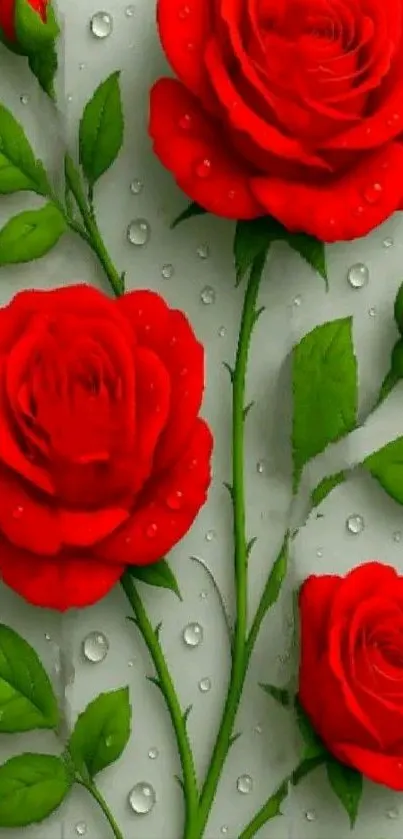 Vibrant red roses with fresh dew on leaves.