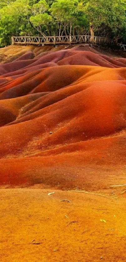 Vibrant red sand dunes with lush green forest.