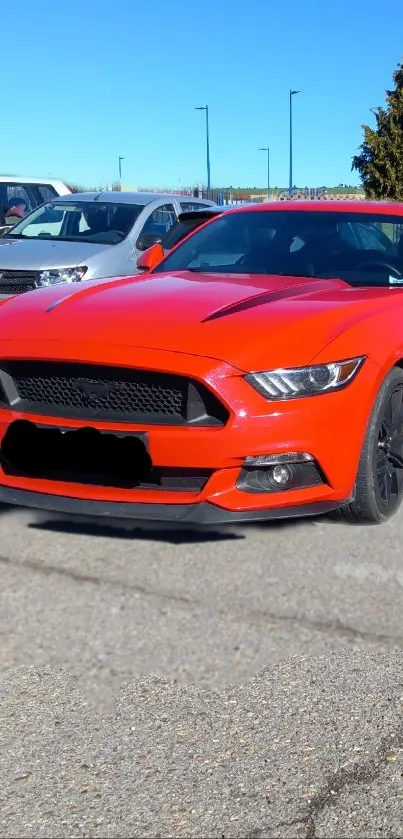 Vibrant red sports car parked outdoors.