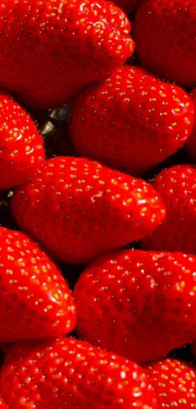 Close-up of vibrant red strawberries in a high-quality wallpaper.