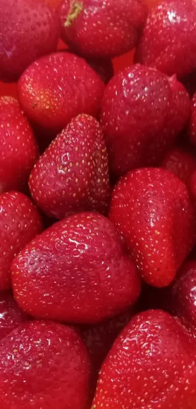 Close-up of fresh red strawberries in an orange bowl.