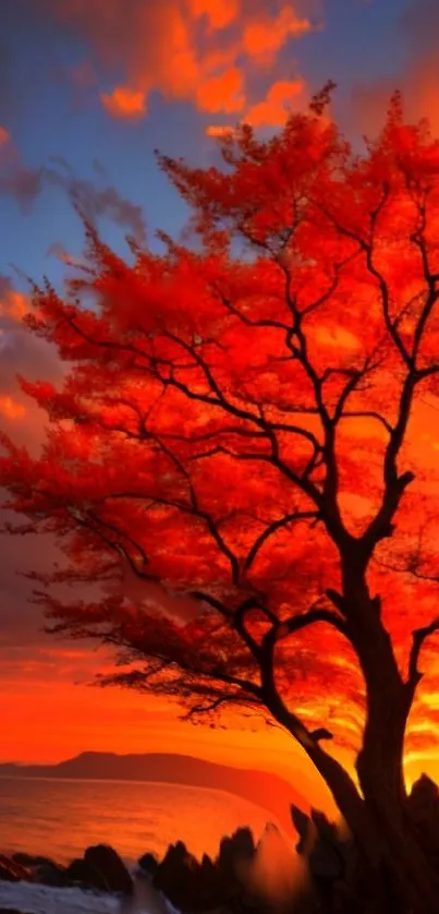 Red tree silhouette against a vibrant sunset sky wallpaper.