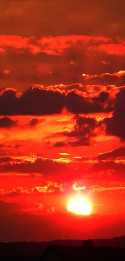 Fiery red sunset with clouds and silhouettes.