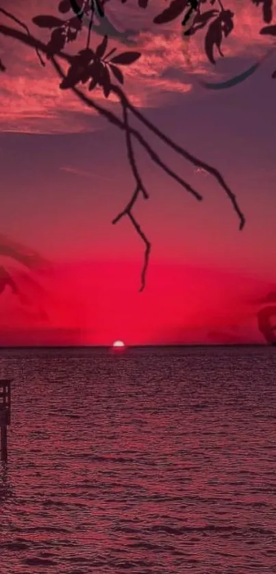 Vibrant red sunset over ocean with silhouetted leaves.