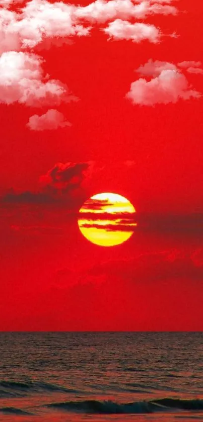 Vibrant red sunset over the calm ocean with a glowing sun.