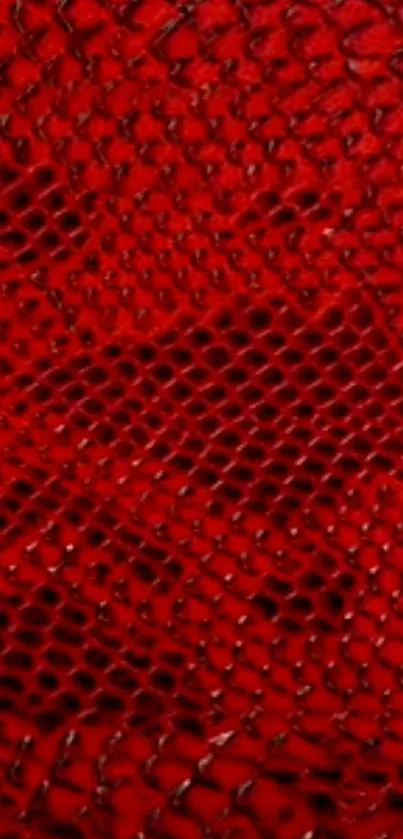 Vibrant red lattice texture for mobile wallpaper.