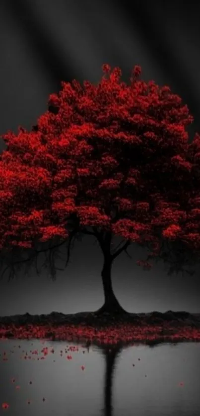 Vibrant red tree with reflection on dark water.