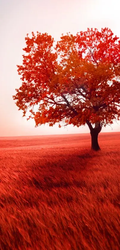 Red tree in a vibrant field under bright sky.