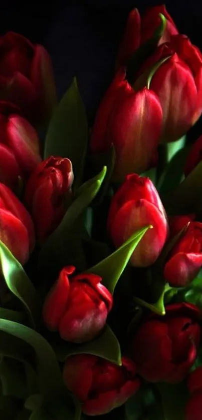 Vibrant bouquet of red tulips with lush green leaves.